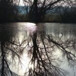 Қазақстанда тасқын судың есебінен электр энергиясы арзандауы мүмкін