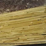 Түркістанда араб тіліндегі ең көне қолжазба табылды