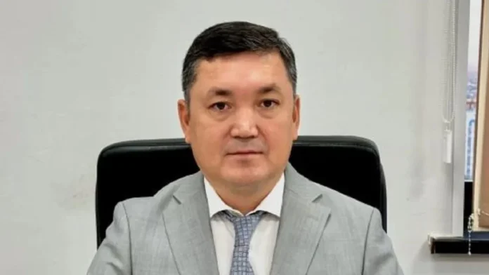 full_1765450390089c9d10e139fcec812e7e275c877a6a_webp