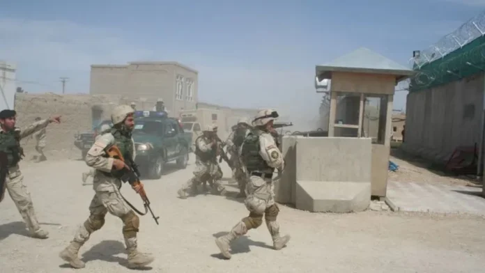 full_1772164437dfd2f12222db940a8ac16bda7d7cb22b_webp