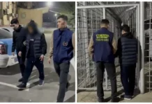 Шымкенттік тиктокер желіде жүргізуші куәлігін сатып, қазақстандықтардың 20 миллион теңгесін алып алған