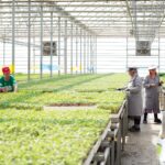 ТҮРКІСТАН ОБЛЫСЫНДА ЖЫЛЫЖАЙЛАРДЫ ЭКОЛОГИЯЛЫҚ ТИІМДІ ЖЫЛЫТУ ЖОЛДАРЫ ЕНГІЗІЛУДЕ