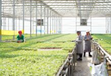 ТҮРКІСТАН ОБЛЫСЫНДА ЖЫЛЫЖАЙЛАРДЫ ЭКОЛОГИЯЛЫҚ ТИІМДІ ЖЫЛЫТУ ЖОЛДАРЫ ЕНГІЗІЛУДЕ