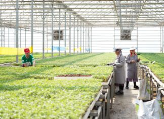 ТҮРКІСТАН ОБЛЫСЫНДА ЖЫЛЫЖАЙЛАРДЫ ЭКОЛОГИЯЛЫҚ ТИІМДІ ЖЫЛЫТУ ЖОЛДАРЫ ЕНГІЗІЛУДЕ