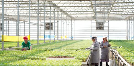 ТҮРКІСТАН ОБЛЫСЫНДА ЖЫЛЫЖАЙЛАРДЫ ЭКОЛОГИЯЛЫҚ ТИІМДІ ЖЫЛЫТУ ЖОЛДАРЫ ЕНГІЗІЛУДЕ