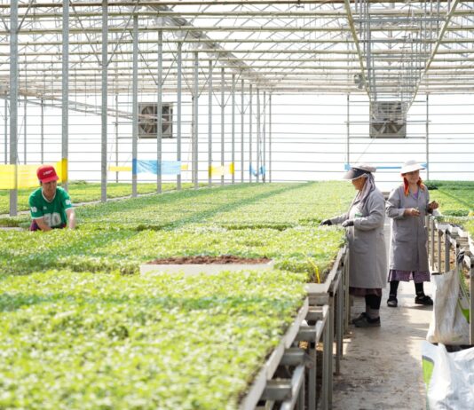 ТҮРКІСТАН ОБЛЫСЫНДА ЖЫЛЫЖАЙЛАРДЫ ЭКОЛОГИЯЛЫҚ ТИІМДІ ЖЫЛЫТУ ЖОЛДАРЫ ЕНГІЗІЛУДЕ