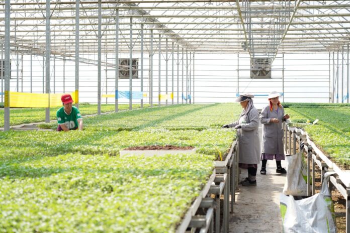 8ad66b96-f741-4925-81bc-70eb5978d3a4