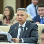 «Мәлімдеме қате болды»: Депутат Перуашев «Штрафстан» туралы сөзінен бас тартты